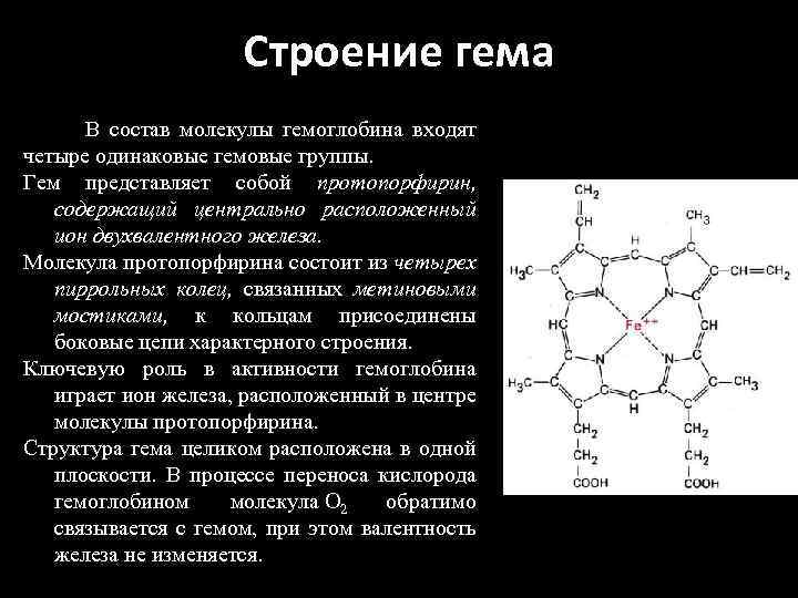 Строение гема В состав молекулы гемоглобина входят четыре одинаковые гемовые группы. Гем представляет собой