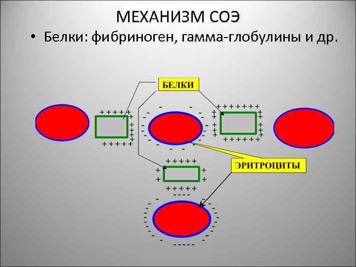 МЕХАНИЗМ СОЭ • Белки: фибриноген, гамма-глобулины и др. 