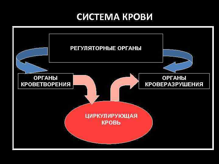 СИСТЕМА КРОВИ РЕГУЛЯТОРНЫЕ ОРГАНЫ КРОВЕТВОРЕНИЯ ОРГАНЫ КРОВЕРАЗРУШЕНИЯ ЦИРКУЛИРУЮЩАЯ КРОВЬ 