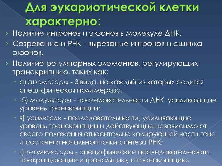 Для эукариотической клетки характерно: › Наличие интронов и экзонов в молекуле ДНК. › Созревание