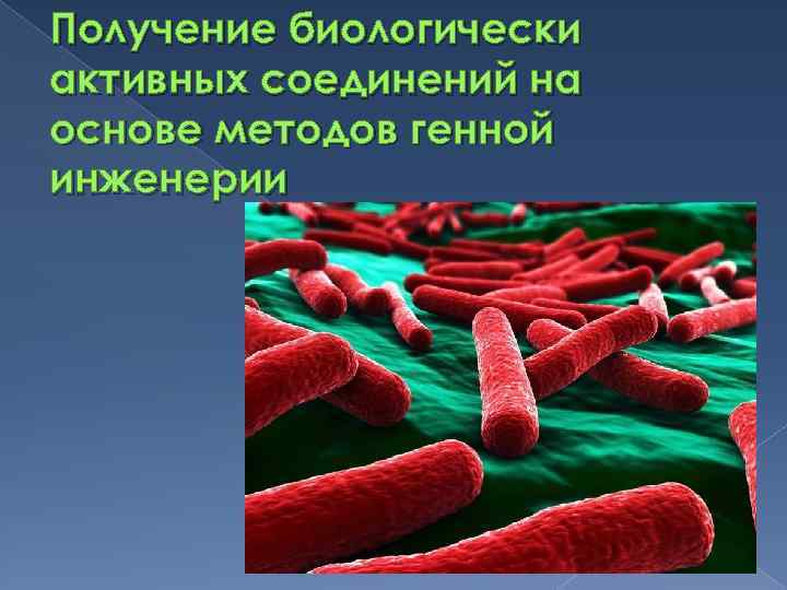 Получение биологически активных соединений на основе методов генной инженерии 