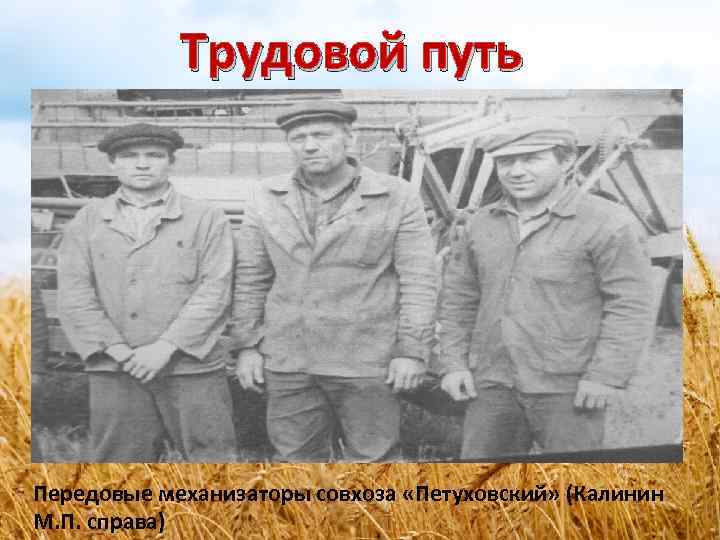 Трудовой путь Передовые механизаторы совхоза «Петуховский» (Калинин М. П. справа) 