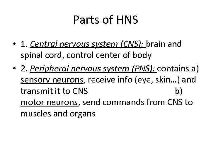 Parts of HNS • 1. Central nervous system (CNS): brain and spinal cord, control
