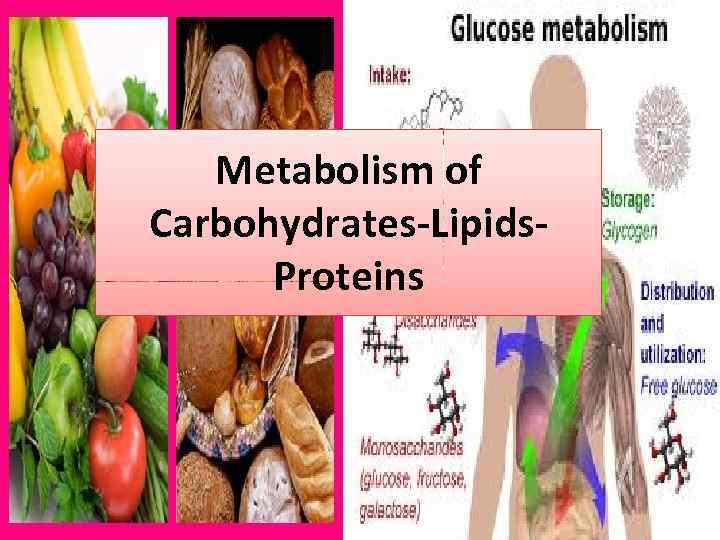 Metabolism of Carbohydrates-Lipids. Proteins 