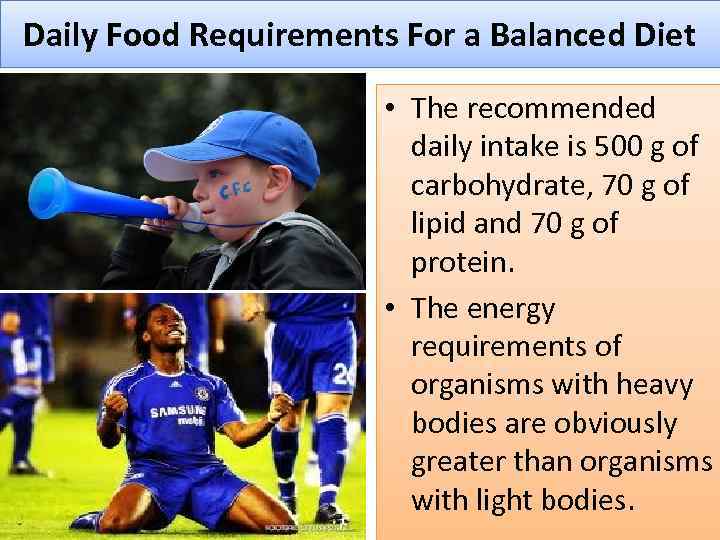 Daily Food Requirements For a Balanced Diet • The recommended daily intake is 500