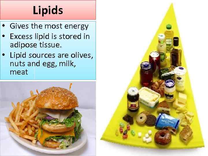 Lipids • Gives the most energy • Excess lipid is stored in adipose tissue.