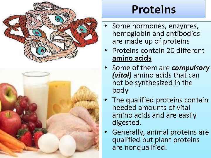 Proteins • Some hormones, enzymes, hemoglobin and antibodies are made up of proteins •