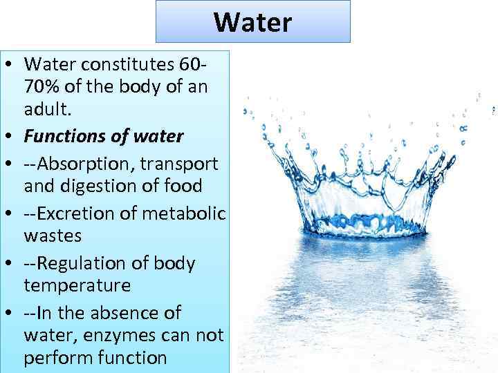Water • Water constitutes 6070% of the body of an adult. • Functions of