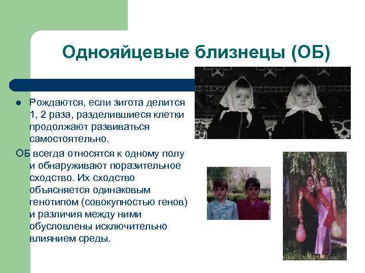 Однояйцевые близнецы (ОБ) Рождаются, если зигота делится 1, 2 раза, разделившиеся клетки продолжают развиваться