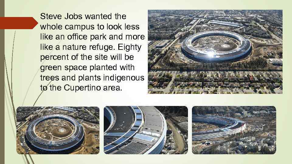 Steve Jobs wanted the whole campus to look less like an office park and