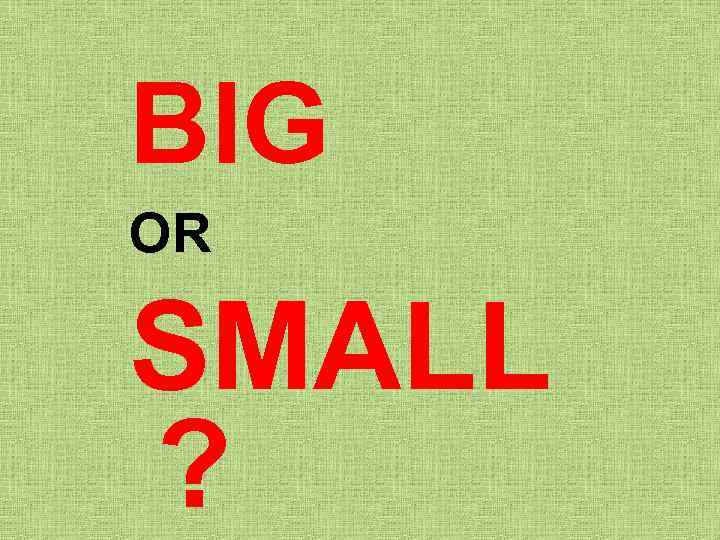 BIG OR SMALL ? 