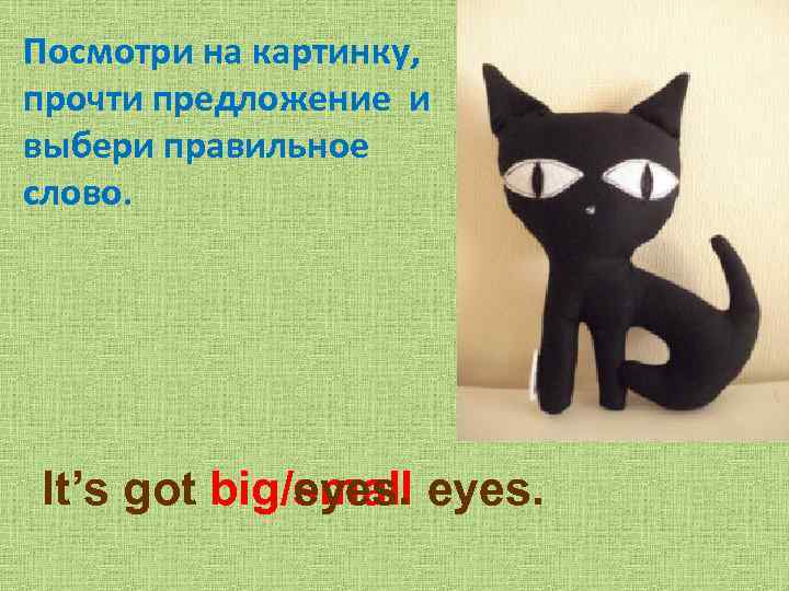 Посмотри на картинку, прочти предложение и выбери правильное слово. It’s got big/small eyes. big