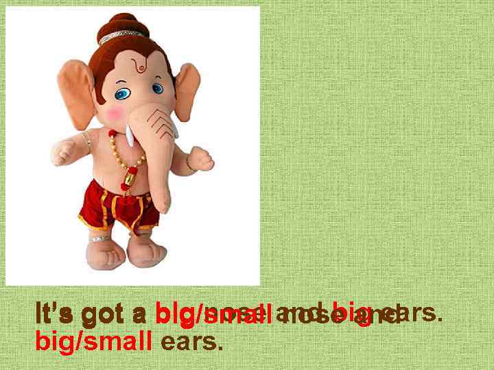 It’s got a big nose and big ears. big/small nose and big/small ears. 