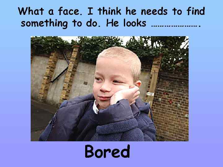 What a face. I think he needs to find something to do. He looks