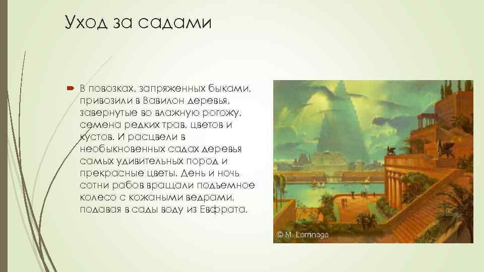 Уход за садами В повозках, запряженных быками, привозили в Вавилон деревья, завернутые во влажную
