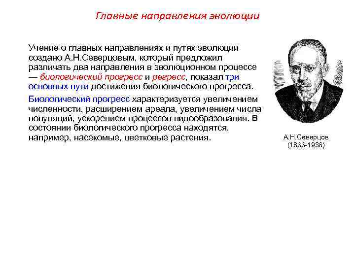 Главные направления эволюции Учение о главных направлениях и путях эволюции создано А. Н. Северцовым,