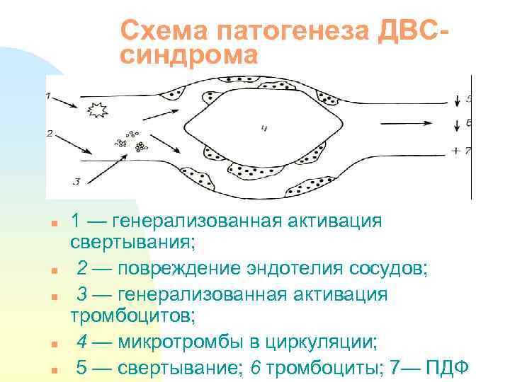 Схема патогенеза ДВСсиндрома n n n 1 — генерализованная активация свертывания; 2 — повреждение