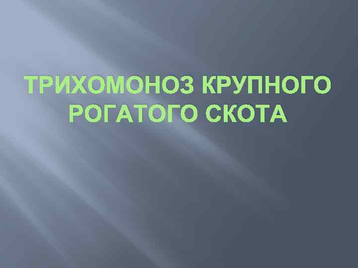 ТРИХОМОНОЗ КРУПНОГО РОГАТОГО СКОТА 