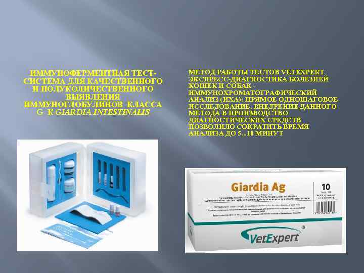 ИММУНОФЕРМЕНТНАЯ ТЕСТСИСТЕМА ДЛЯ КАЧЕСТВЕННОГО И ПОЛУКОЛИЧЕСТВЕННОГО ВЫЯВЛЕНИЯ ИММУНОГЛОБУЛИНОВ КЛАССА G К GIARDIA INTESTINALIS МЕТОД