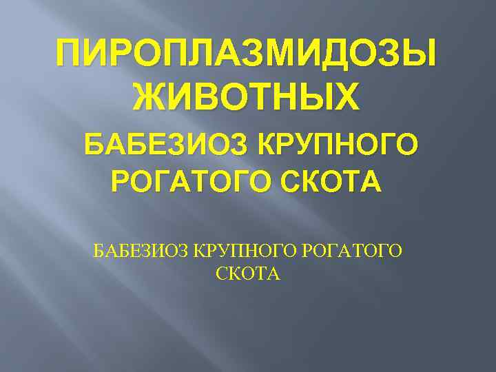 ПИРОПЛАЗМИДОЗЫ ЖИВОТНЫХ БАБЕЗИОЗ КРУПНОГО РОГАТОГО СКОТА 