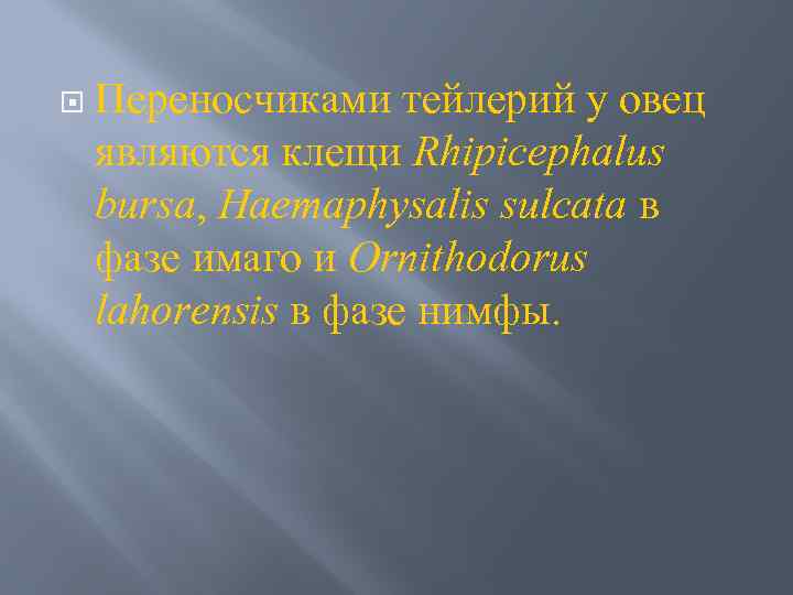  Переносчиками тейлерий у овец являются клещи Rhipicephalus bursa, Haemaphysalis sulcata в фазе имаго