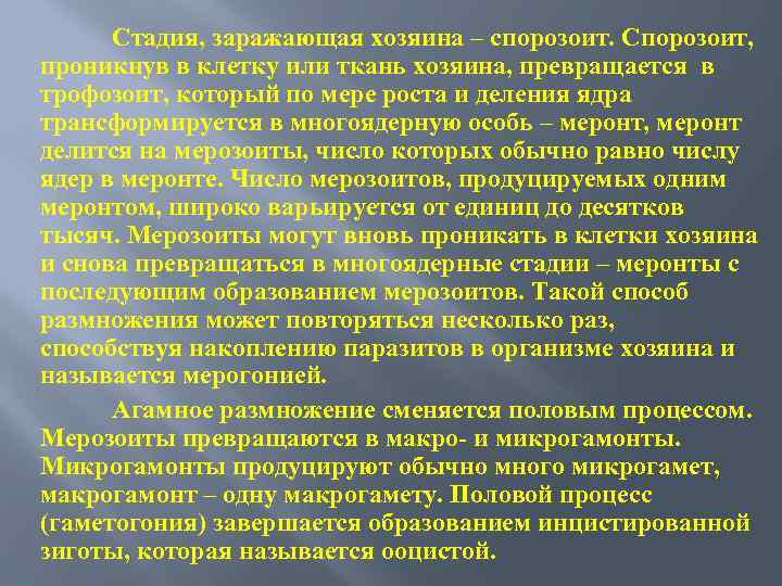 Стадия, заражающая хозяина – спорозоит. Спорозоит, проникнув в клетку или ткань хозяина, превращается в