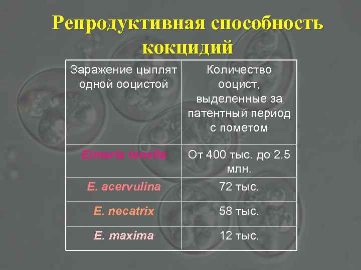Репродуктивная способность кокцидий Заражение цыплят одной ооцистой Количество ооцист, выделенные за патентный период с