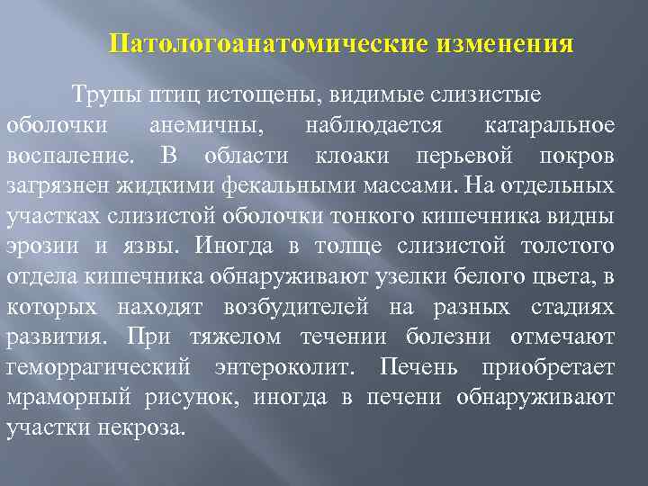 Патологоанатомические изменения Трупы птиц истощены, видимые слизистые оболочки анемичны, наблюдается катаральное воспаление. В области
