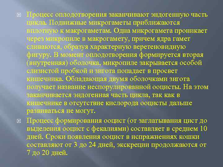  Процесс оплодотворения заканчивают эндогенную часть цикла. Подвижные микрогаметы приближаются вплотную к макрогаметам. Одна