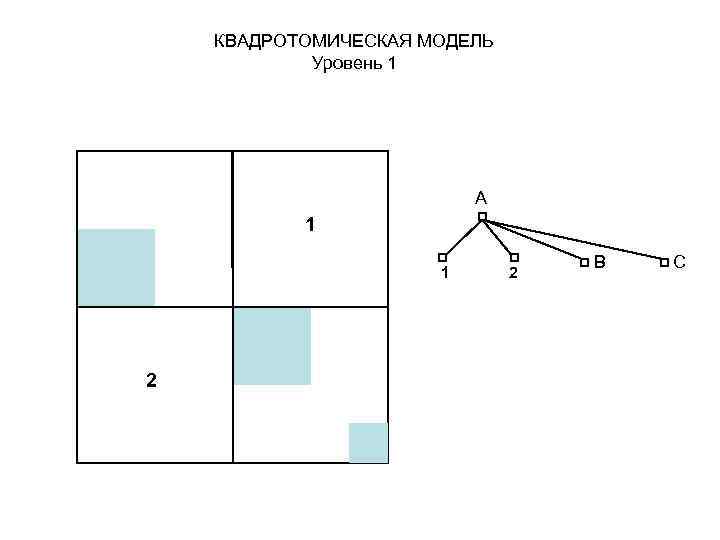 КВАДРОТОМИЧЕСКАЯ МОДЕЛЬ Уровень 1 A 1 1 2 2 B C 