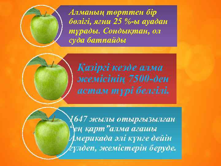 Алманың төрттен бір бөлігі, яғни 25 %-ы ауадан тұрады. Сондықтан, ол суда батпайды Қазіргі