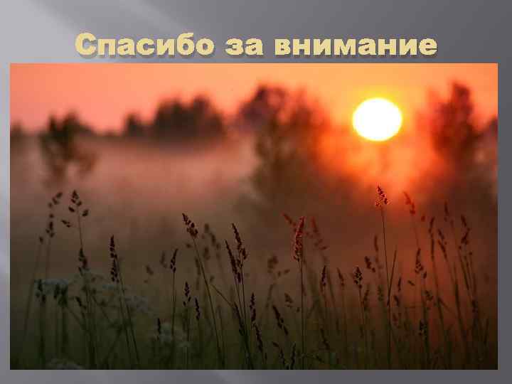 Спасибо за внимание 