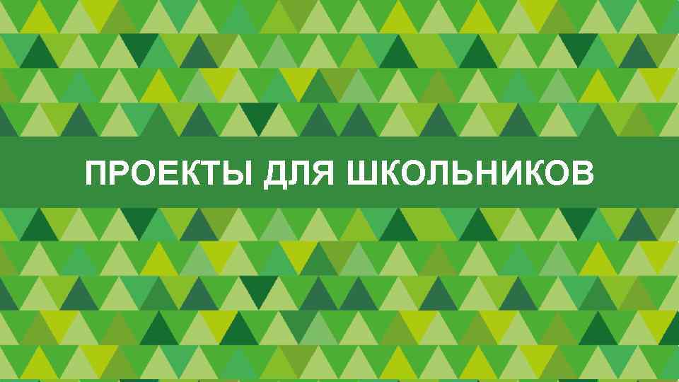 ПРОЕКТЫ ДЛЯ ШКОЛЬНИКОВ 