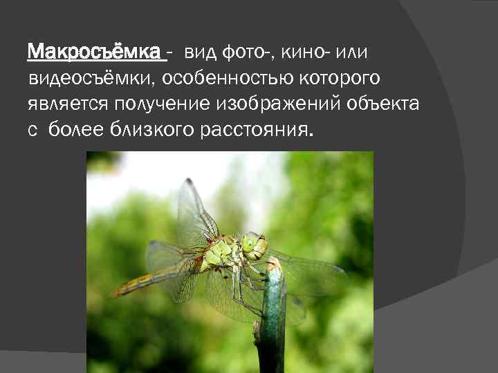Макросъёмка - вид фото-, кино- или видеосъёмки, особенностью которого является получение изображений объекта с
