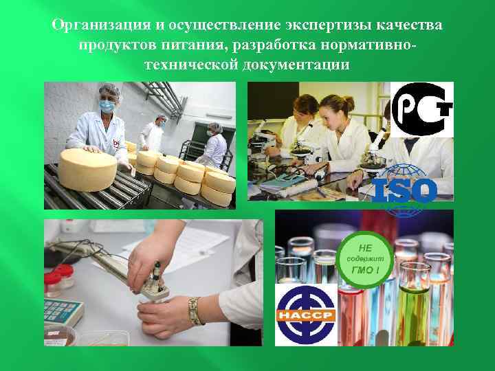 Организация и осуществление экспертизы качества продуктов питания, разработка нормативнотехнической документации 