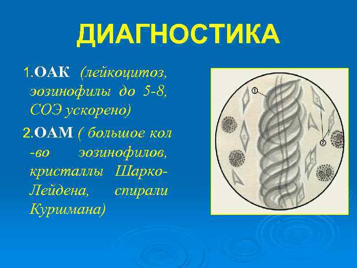 ДИАГНОСТИКА 1. ОАК (лейкоцитоз, эозинофилы до 5 -8, СОЭ ускорено) 2. ОАМ ( большое