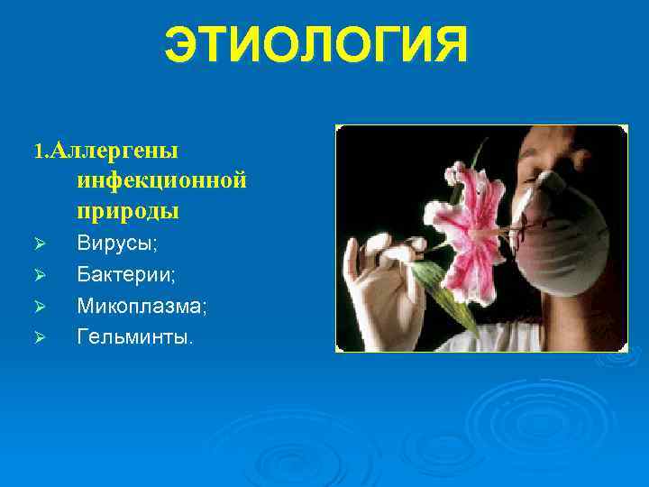 ЭТИОЛОГИЯ 1. Аллергены инфекционной природы Ø Ø Вирусы; Бактерии; Микоплазма; Гельминты. 