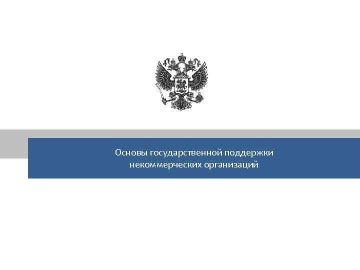 Основы государственной поддержки некоммерческих организаций 