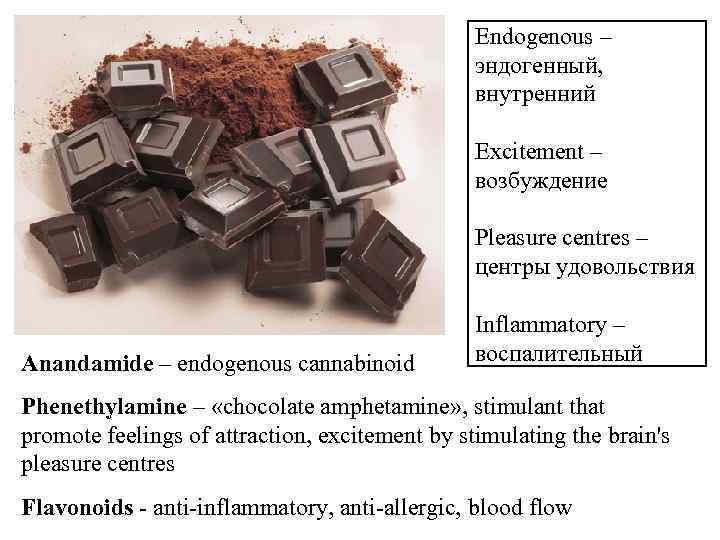 Endogenous – эндогенный, внутренний Excitement – возбуждение Pleasure centres – центры удовольствия Anandamide –