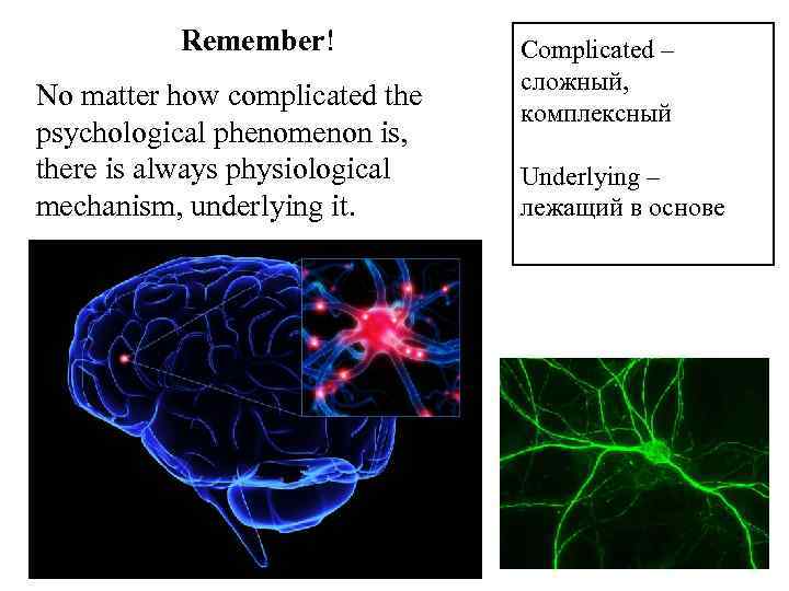 Remember! No matter how complicated the psychological phenomenon is, there is always physiological mechanism,