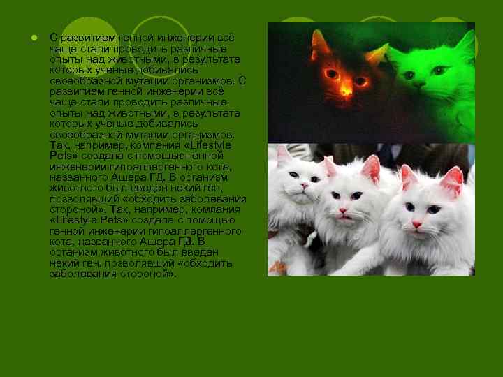 l С развитием генной инженерии всё чаще стали проводить различные опыты над животными, в