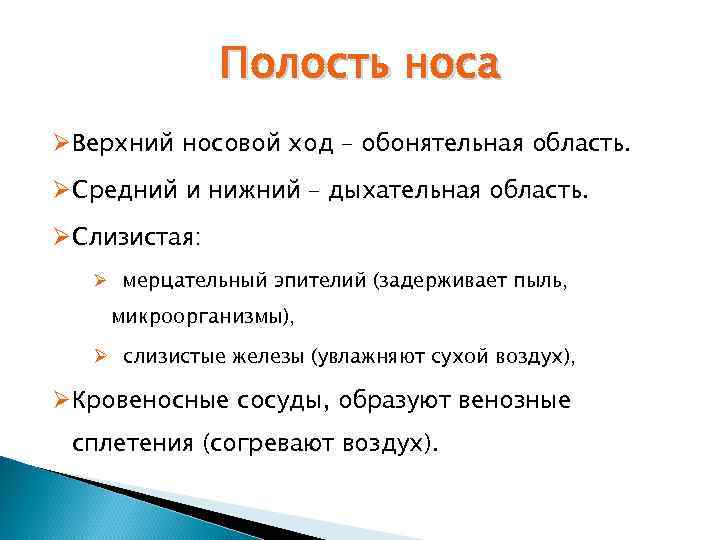 Полость носа ØВерхний носовой ход – обонятельная область. ØСредний и нижний – дыхательная область.