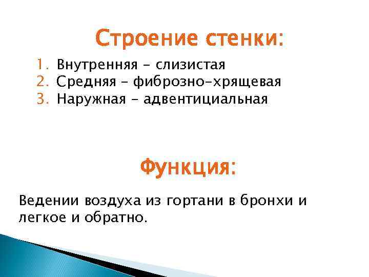 Строение стенки: 1. Внутренняя - слизистая 2. Средняя – фиброзно-хрящевая 3. Наружная - адвентициальная