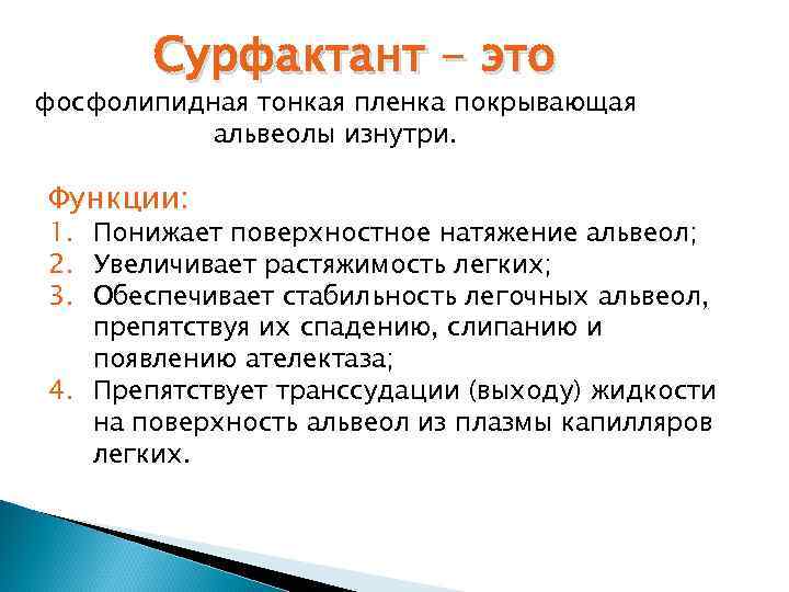 Сурфактант - это фосфолипидная тонкая пленка покрывающая альвеолы изнутри. Функции: 1. Понижает поверхностное натяжение