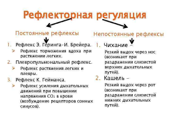 Рефлекторная регуляция Постоянные рефлексы Непостоянные рефлексы 1. Рефлекс Э. Геринга-И. Брейера. 1. Чихание Ø