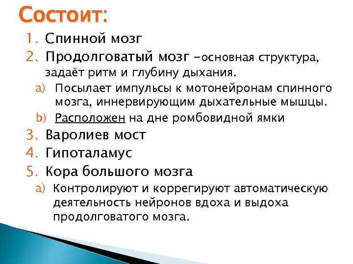 Состоит: 1. Спинной мозг 2. Продолговатый мозг –основная структура, задаёт ритм и глубину дыхания.