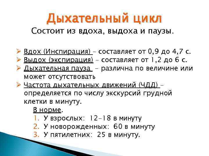 Дыхательный цикл Состоит из вдоха, выдоха и паузы. Ø Вдох (Инспирация) – составляет от