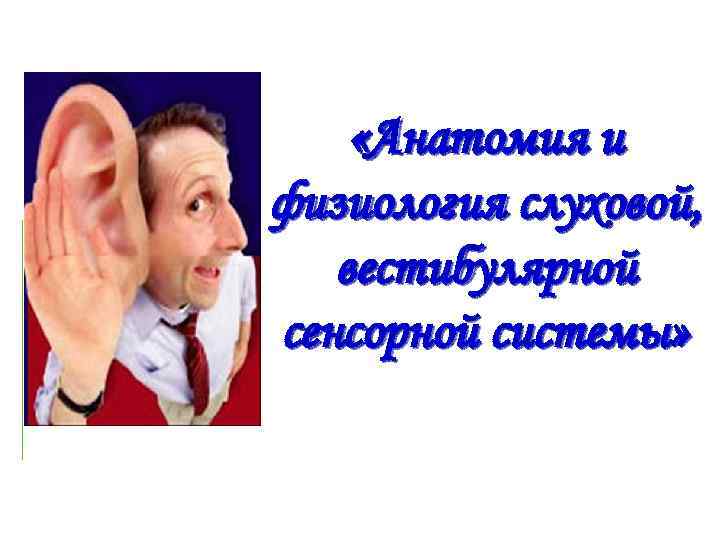  «Анатомия и физиология слуховой, вестибулярной сенсорной системы» 