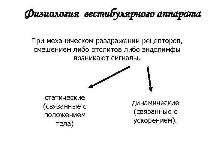  Физиология вестибулярного аппарата При механическом раздражении рецепторов, смещением либо отолитов либо эндолимфы возникают