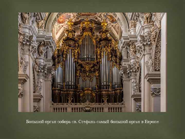 Большой орган собора св. Стефана-самый большой орган в Европе 